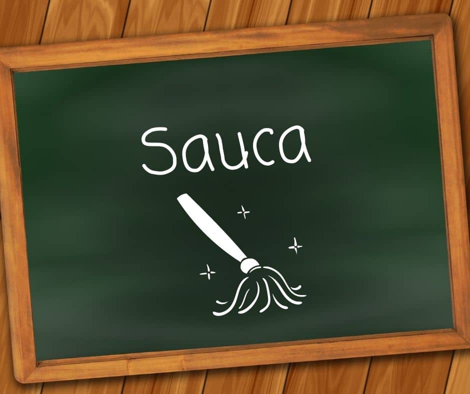 Sauca ist die Reinheit und beschreibt, dass wir geistig wie körperlich keine Anhaftungen erleben
