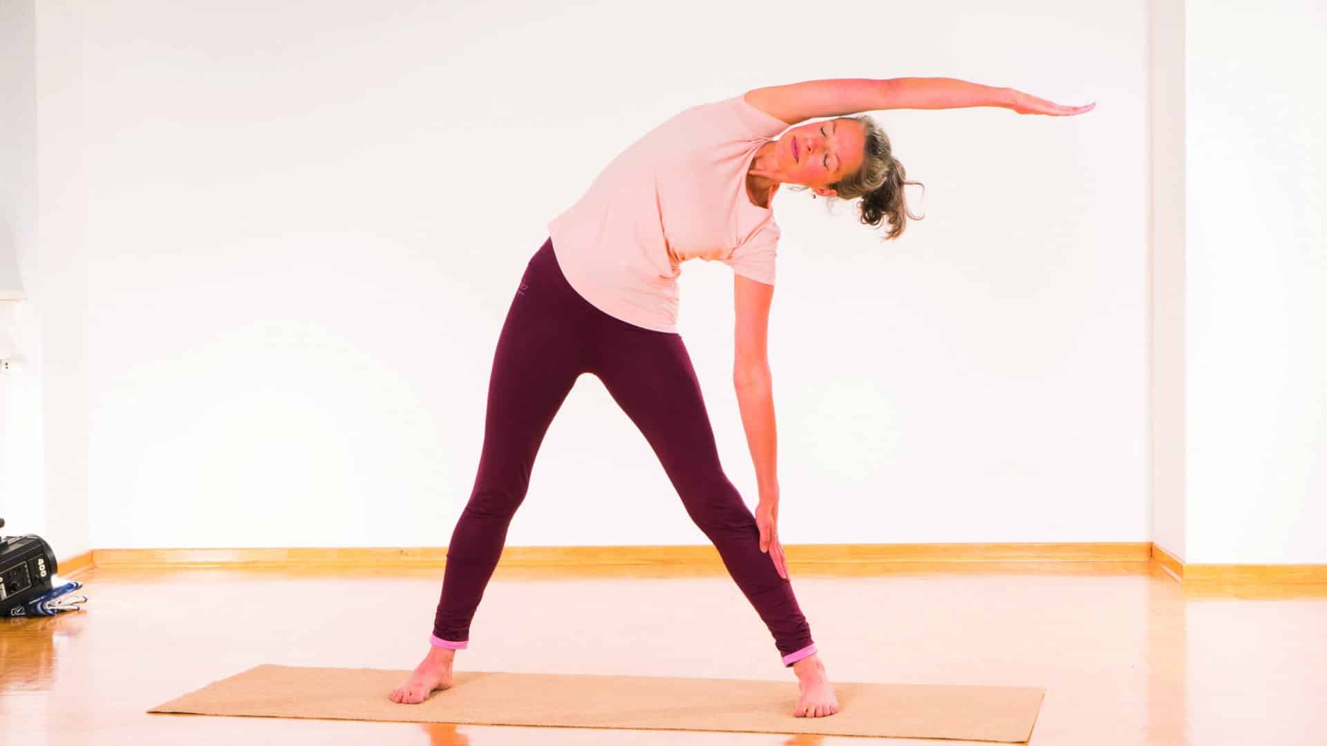Das Dreieck im klassischen Yoga Vidya Stil
