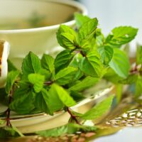 Ayurveda Verjüngungstee für die Sommersaison