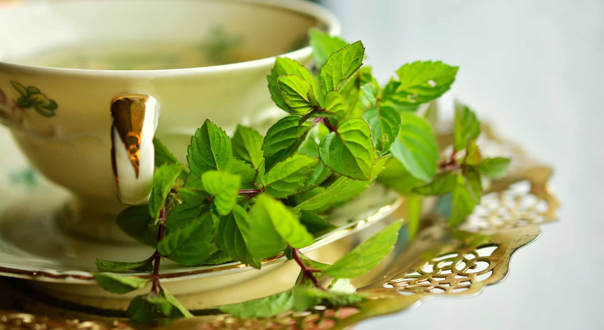 Ayurveda Verjüngungstee für die Sommersaison
