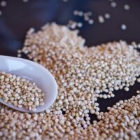 Quinoa-Payas