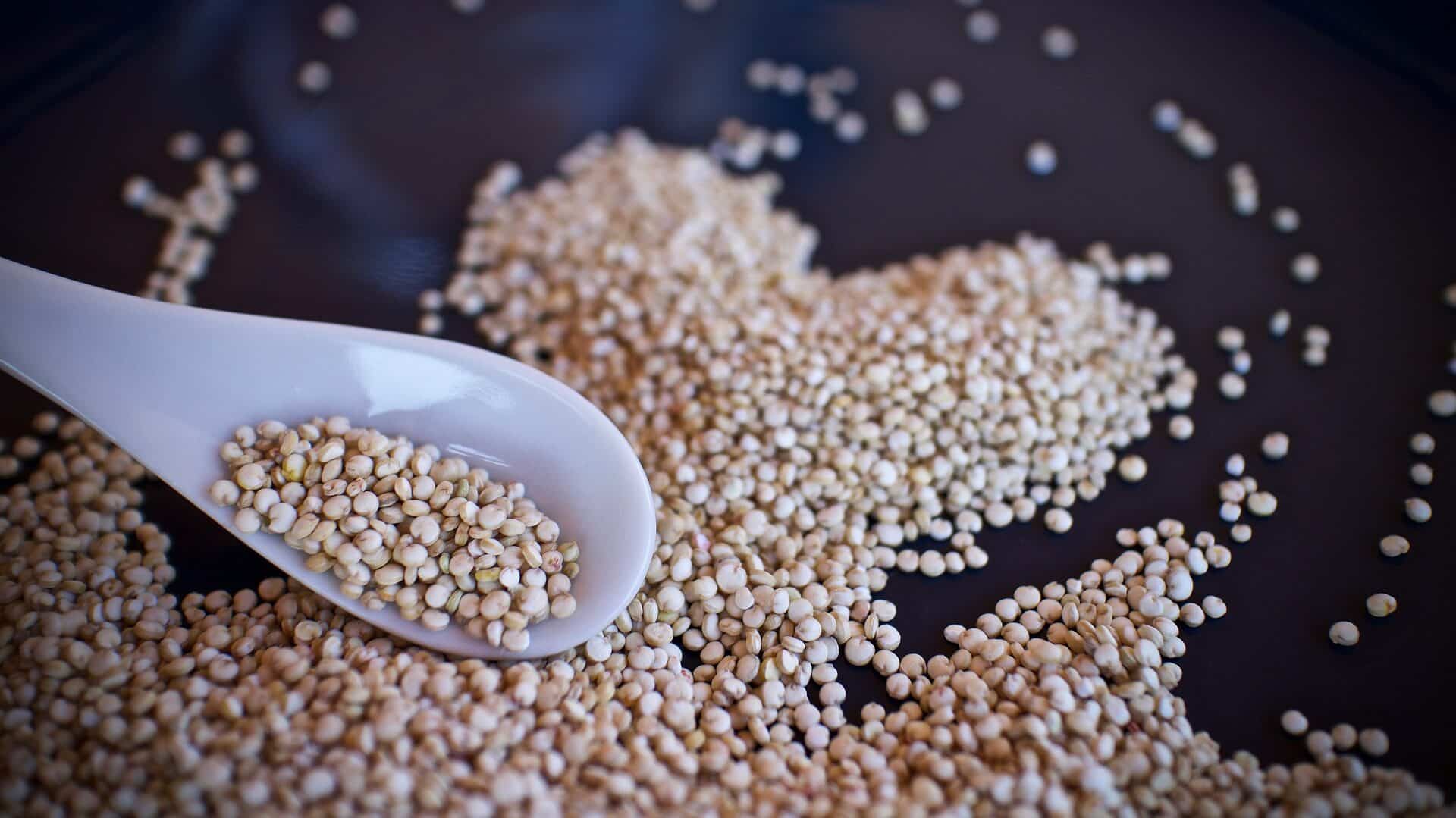 Quinoa-Payas
