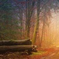 Herbst