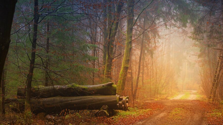 Herbst