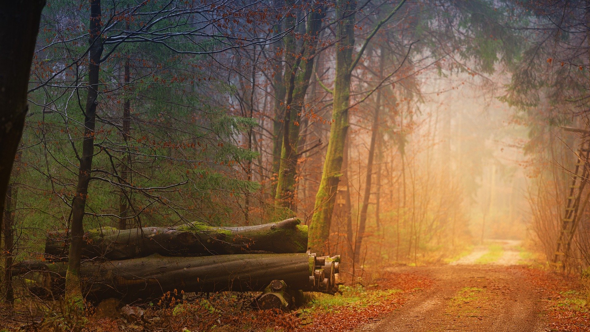 Herbst