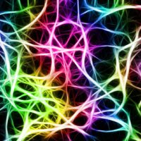 Neuronen