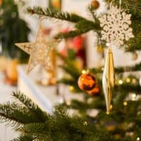 Weihnachten bei Yoga Vidya - Weihnachtsbaum im Sivananda Saal
