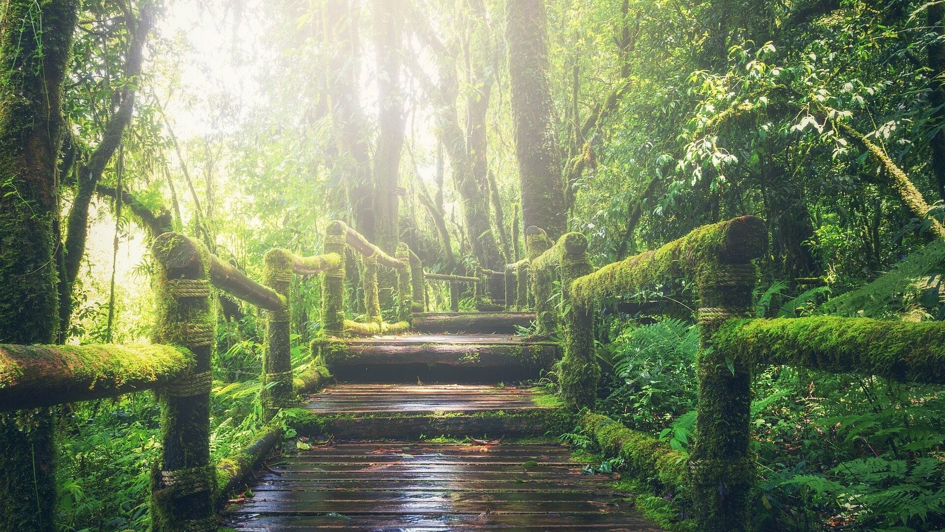 Der Weg vor dir auf der Pilgerreise des Lebens