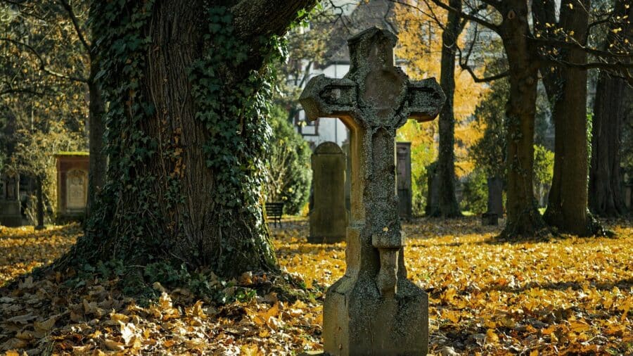 Die Heiligen Drei Könige brachten Mhyrrhe, Heilmittel und Zeichen für Vergänglichkeit