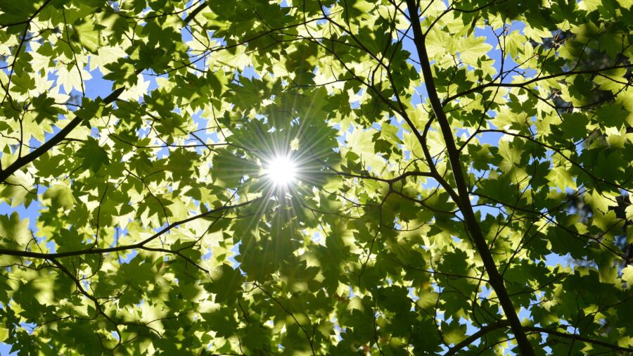 Himmelsrichtung Süden - Sonne am Zenit