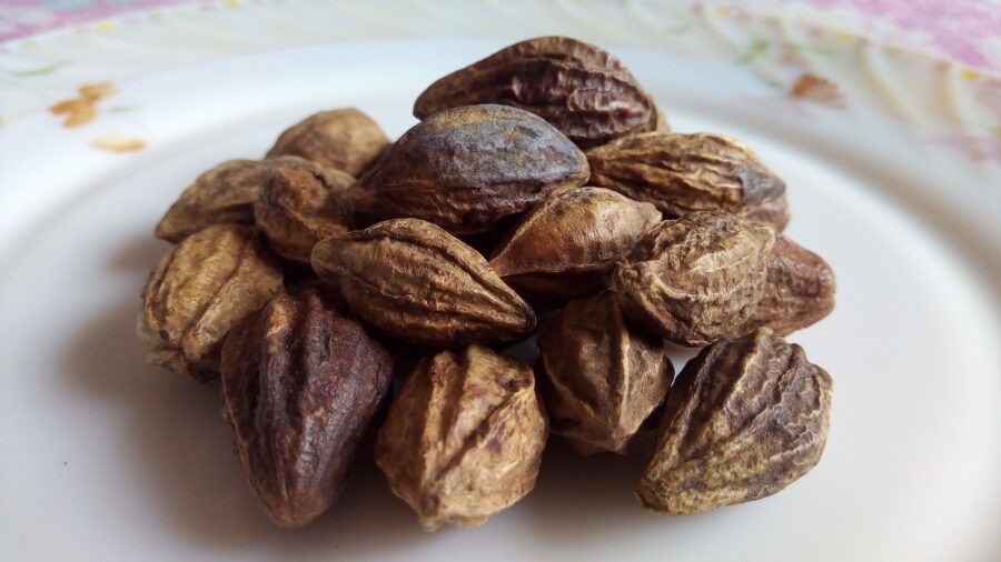 Ayurveda Detox - Triphala Haritaki Beere