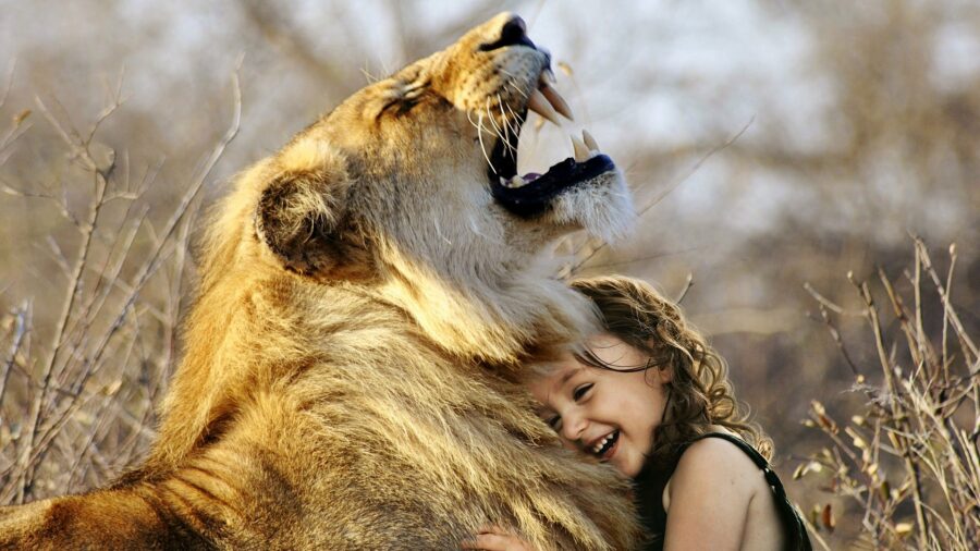 Tierliebe