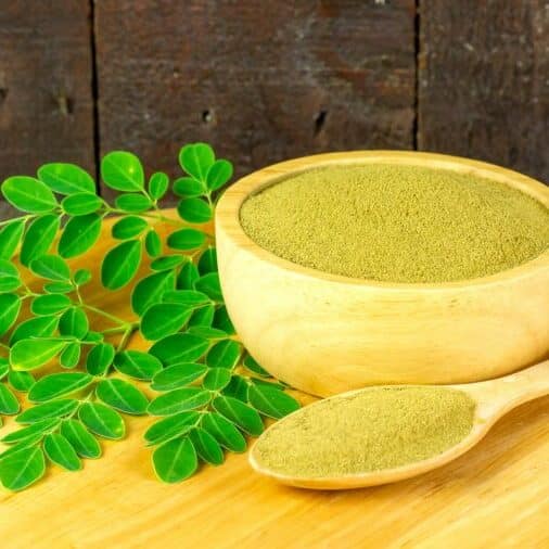 Moringa Pulver und Kraut