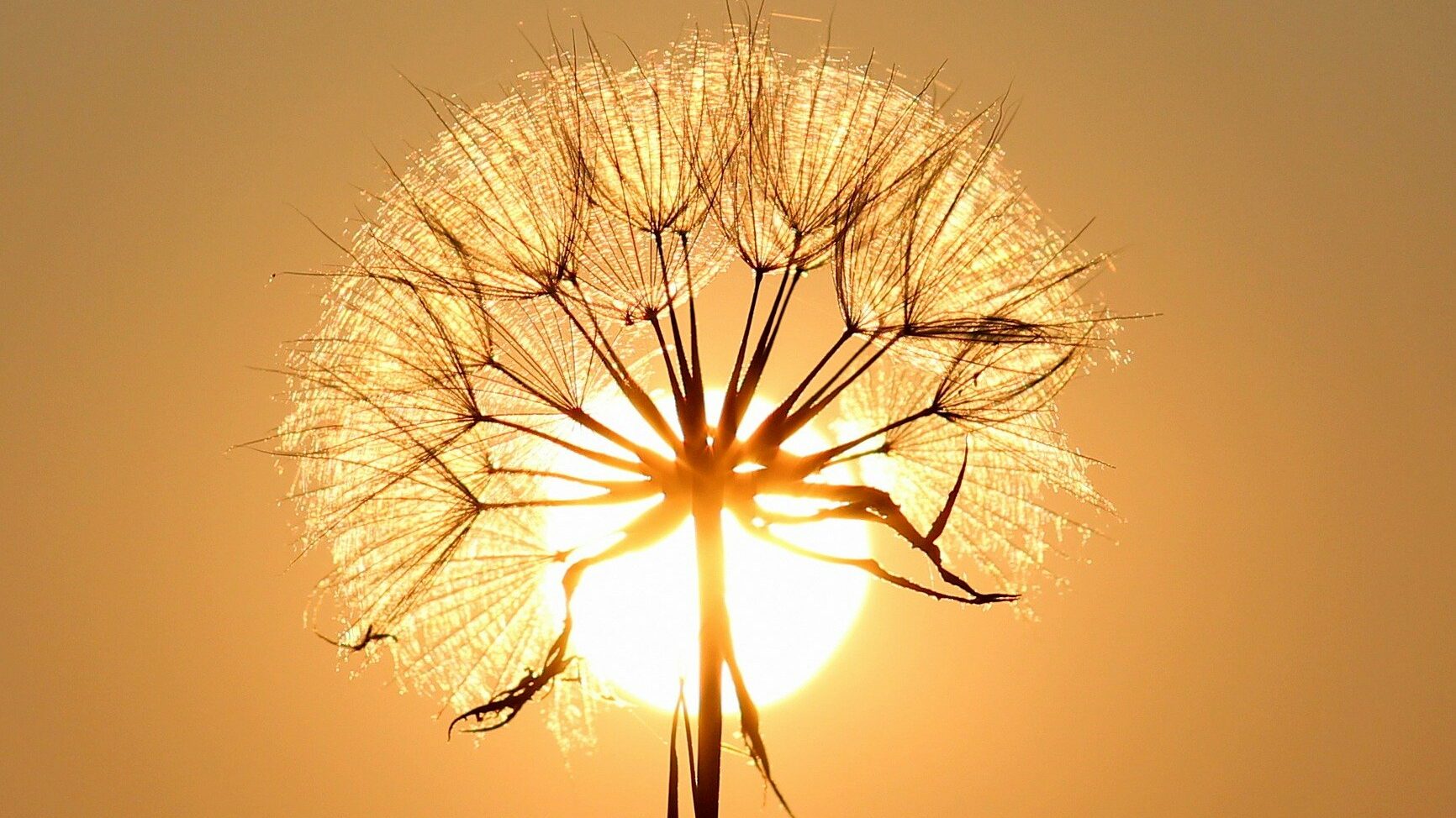 Vater Sonne - Bindeglied zwischen Schamanismus und Yoga