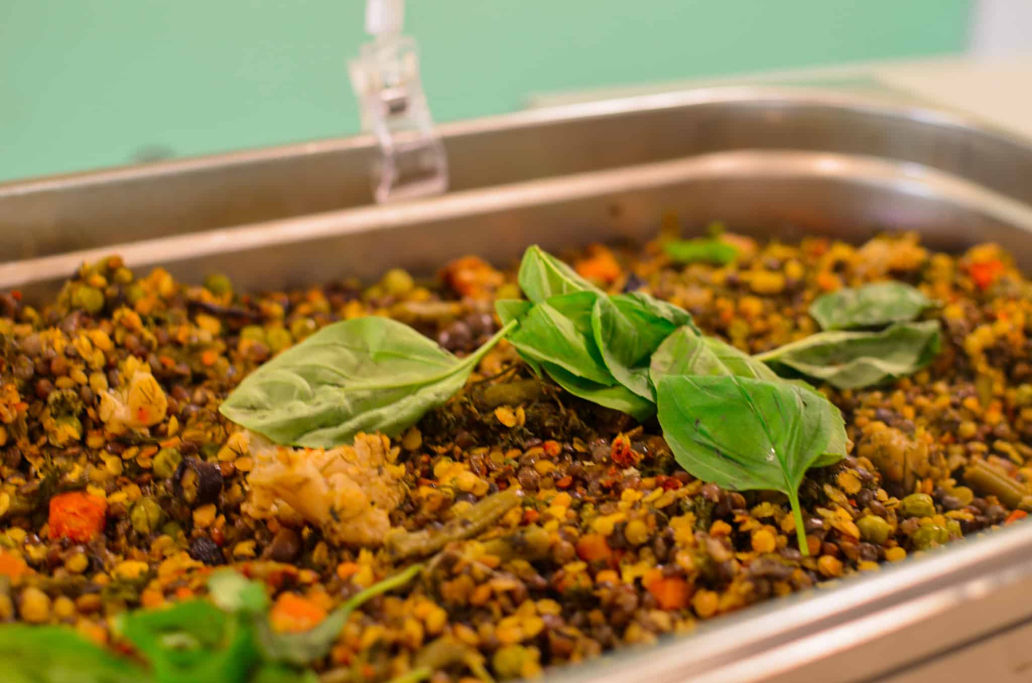Yoga Vidya Bad Meinberg - Veganes Buffett