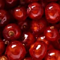 Die 5 Säulen des Hatha Yoga - Ernährung