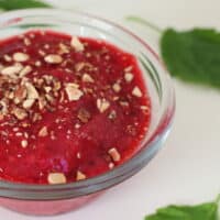 Veganes Himbeer-Sorbet