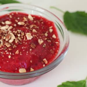 Veganes Himbeer-Sorbet
