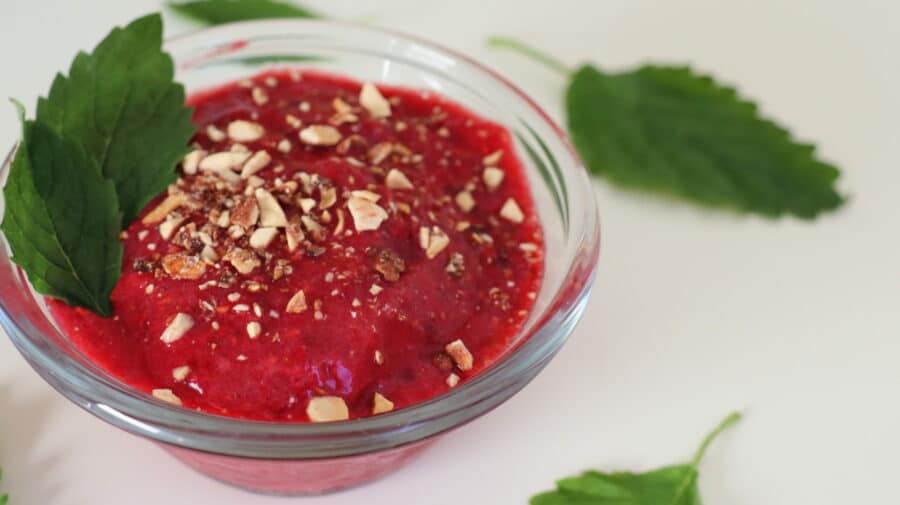 Veganes Himbeer-Sorbet