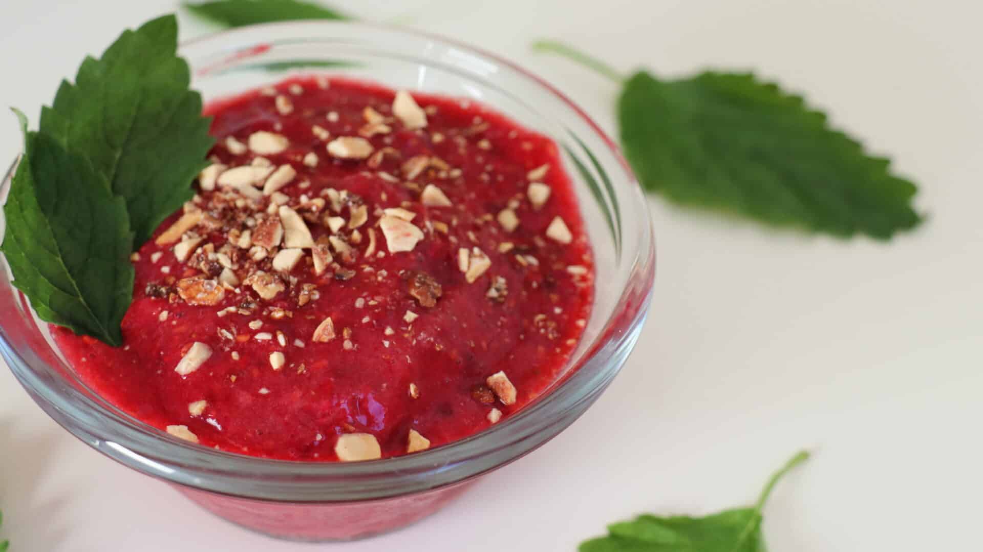 Veganes Himbeer-Sorbet