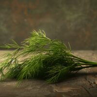 dill