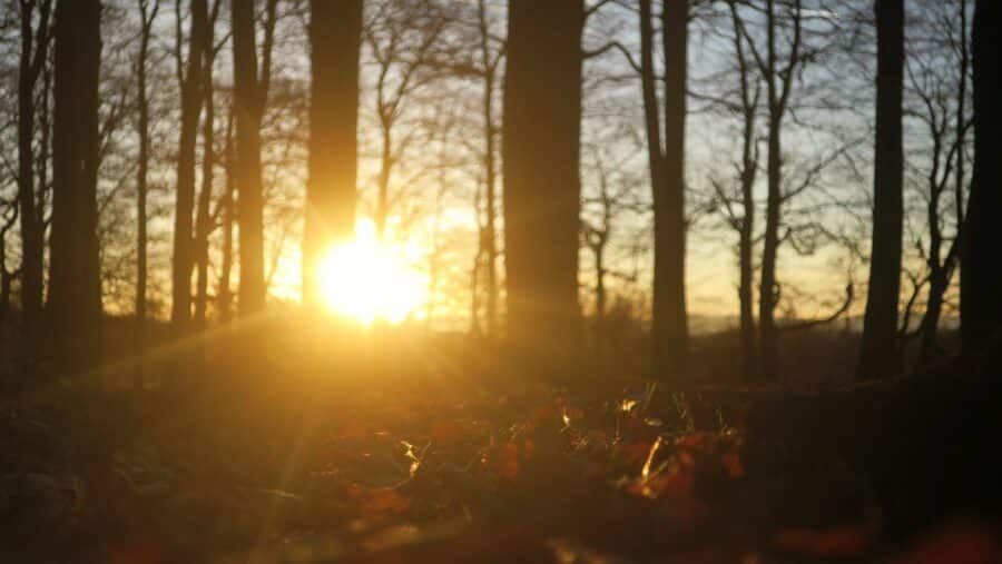 Wintersonnenwende - Auftakt zum Julfest