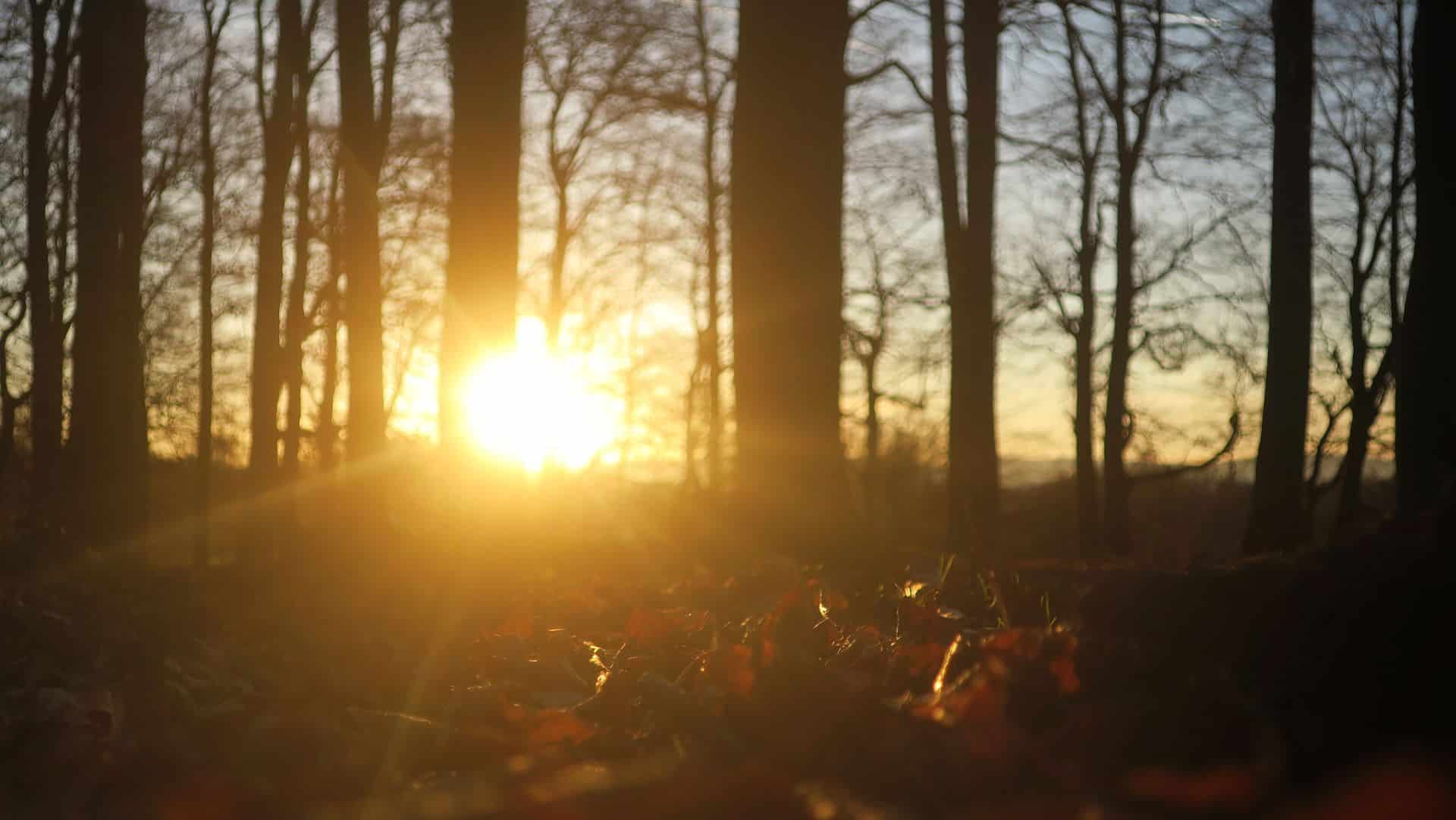 Wintersonnenwende - Auftakt zum Julfest