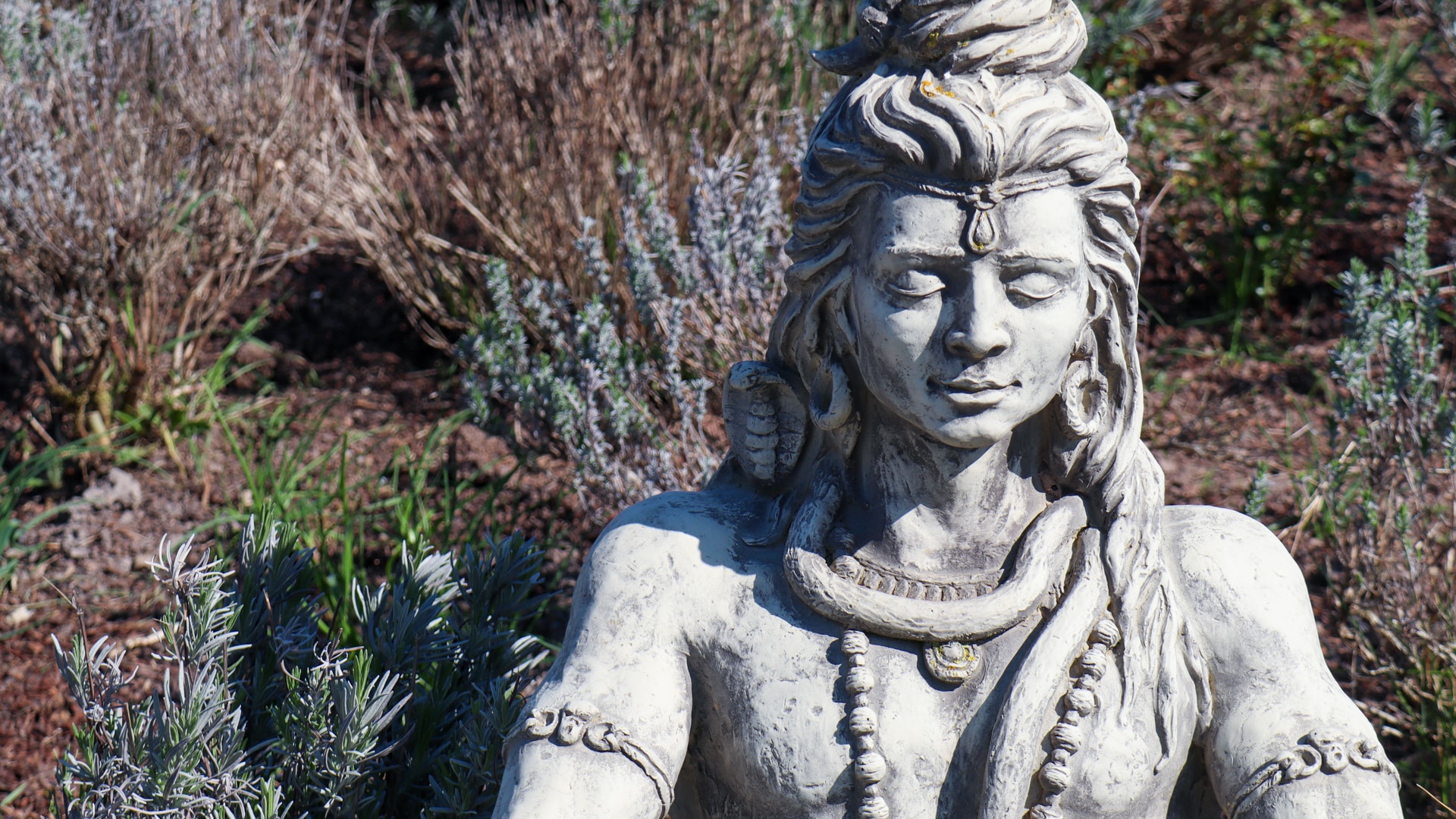 Eine Shiva Statue, sitzt mit geschlossenen Augen in Meditation. Sie ist mit Schmuck und langem Haar geschmückt und steht vor einem Hintergrund aus trockenen Pflanzen und Grün.