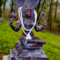 Kali, Murti