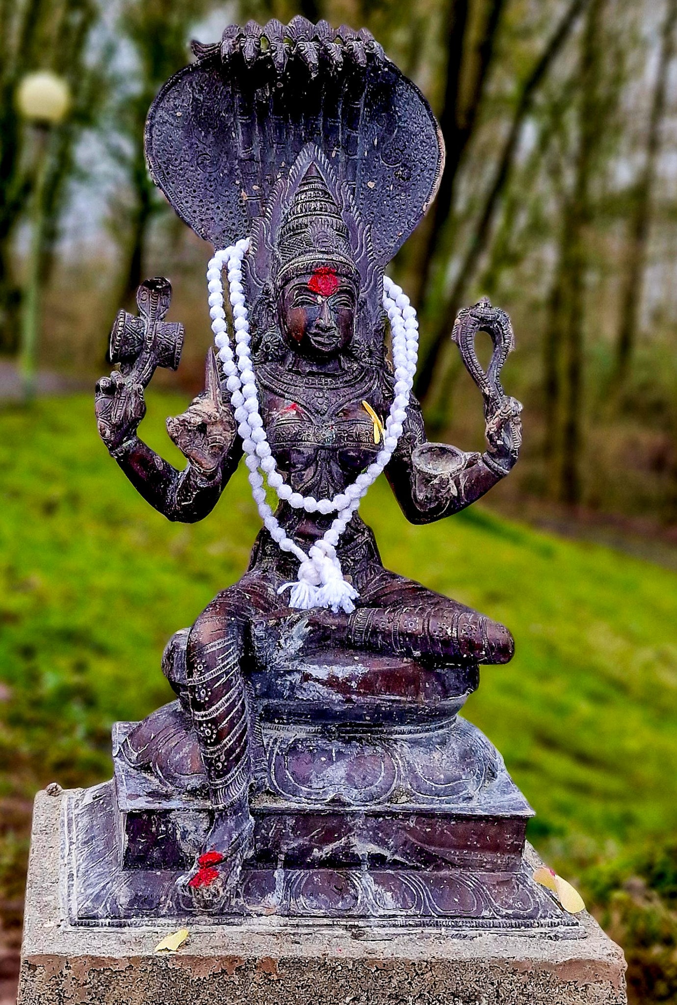 Kali, Murti