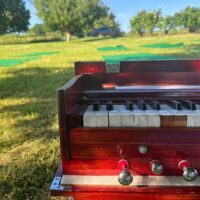 Yoga Vidya Seekirchen, Harmonium, Bhaktiyoga