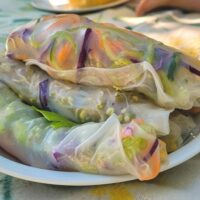 Bunte vegane Sommerrollen auf Picknickdecke
