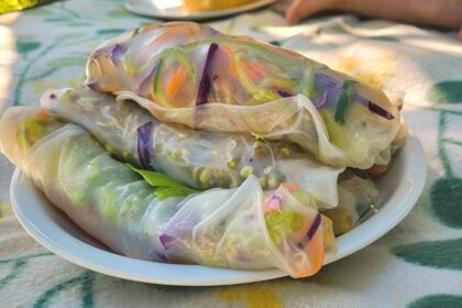 Bunte vegane Sommerrollen auf Picknickdecke