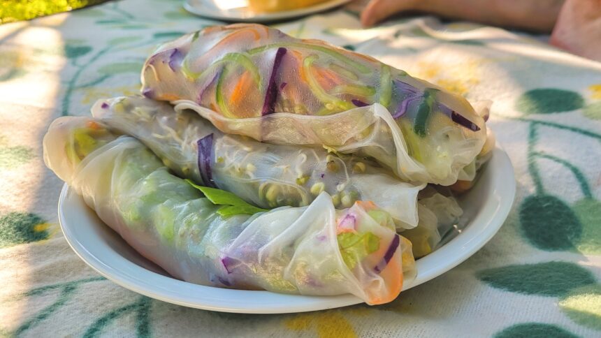Bunte vegane Sommerrollen auf Picknickdecke