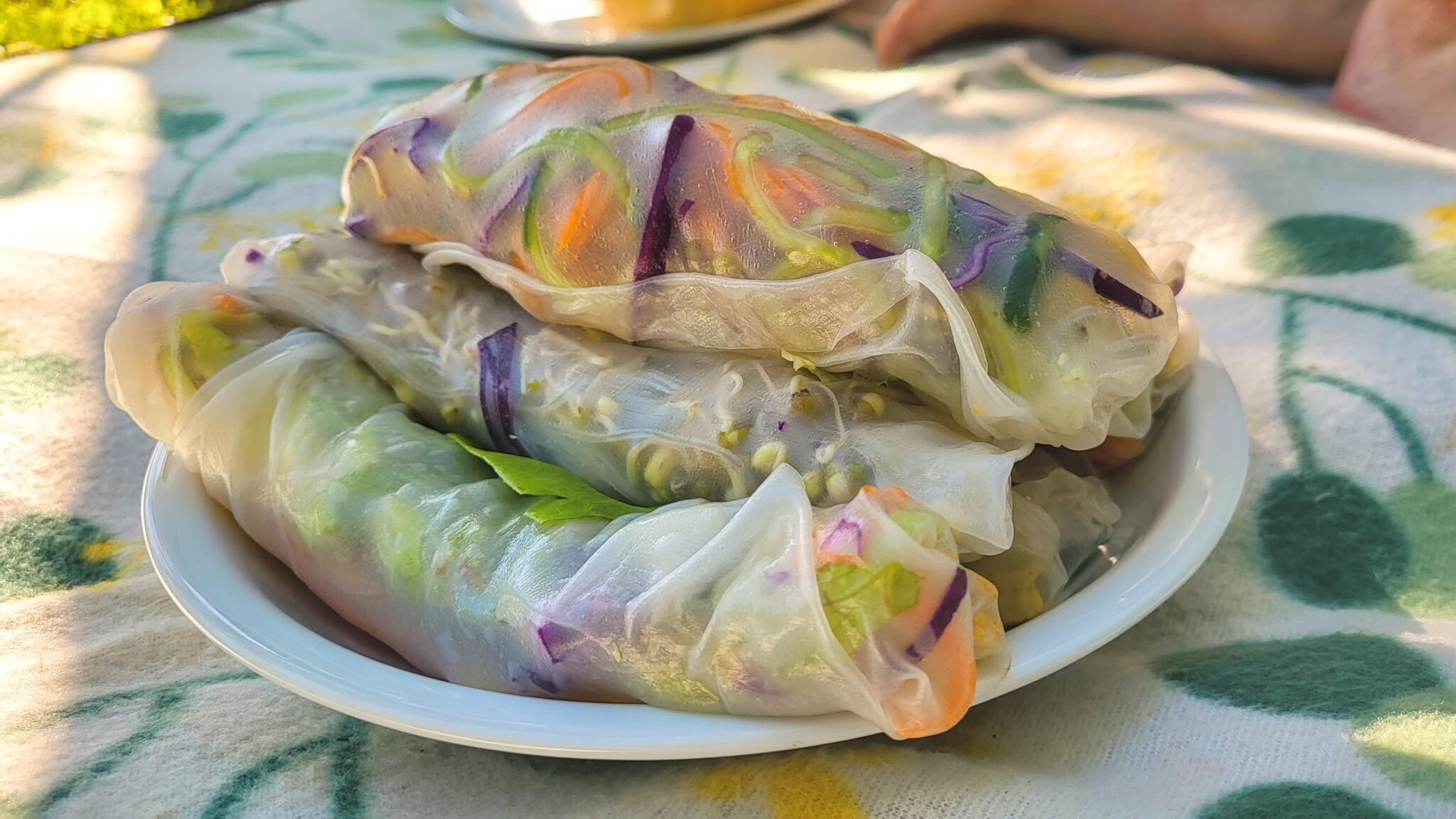 Bunte vegane Sommerrollen auf Picknickdecke