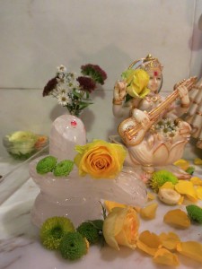 Shivalaya-Devi-Puja-mit-Satyadevi_009