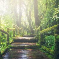 Der Weg vor dir auf der Pilgerreise des Lebens