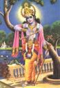 Krishna, Inkarnation Gottes