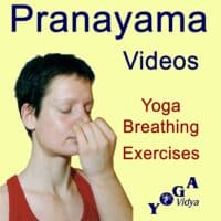 Cover Art des Pranayama Breathing Exercises Podcast