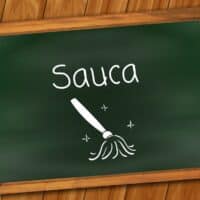 Sauca ist die Reinheit und beschreibt, dass wir geistig wie körperlich keine Anhaftungen erleben