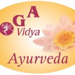 yoga-vidya-ayurveda