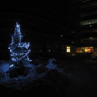 weihnachtsbaum_draussennacht