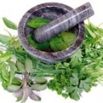 Kräuter Mörser Ayurveda