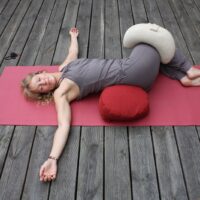 Die Ausbildung zum Rückenyogalehrenden ist eine sehr beliebte Ausbildung bei Yoga Vidya. Das geht jetzt auch online