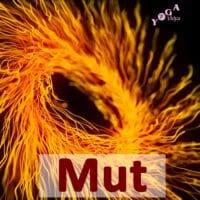 Cover Art des Mut Podcast