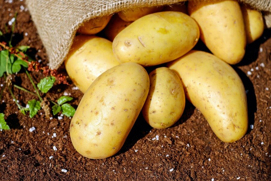 Zutaten für Yoga Vidya Küche: Veganes Kartoffeldressing